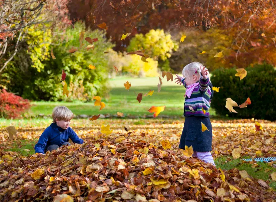 Kids jumping in a pile of leaves.